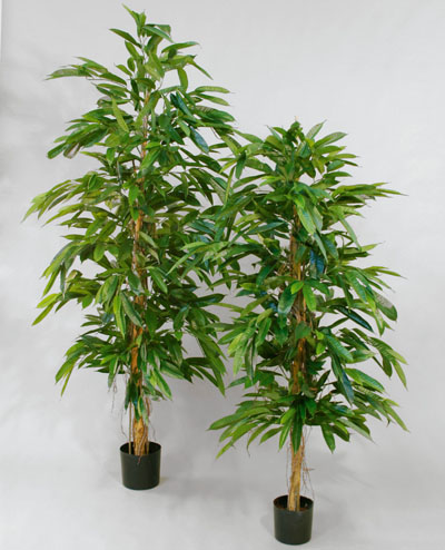 05-170 Longifolia 170cm, 05-250 Longifolia 250cm